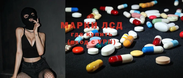 сатива Магадан