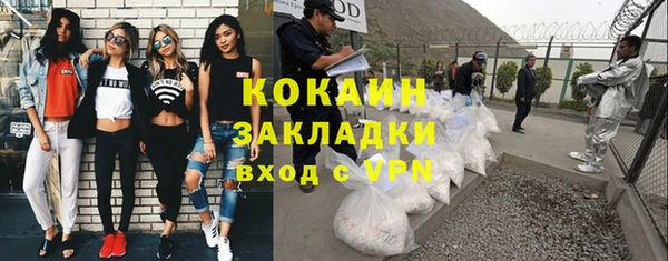 сатива Магадан