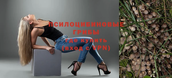ГАЛЛЮЦИНОГЕННЫЕ ГРИБЫ Майский