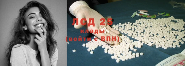 сатива Магадан
