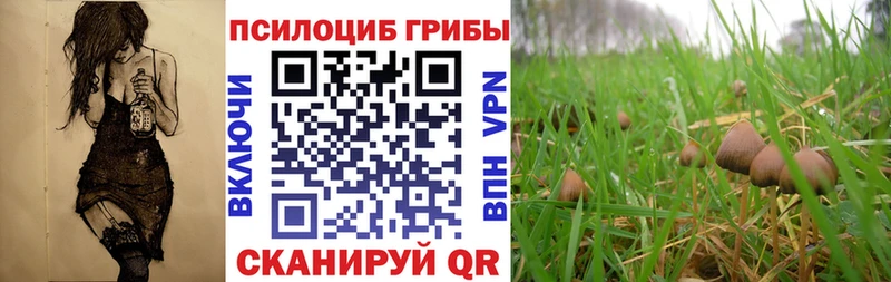 Купить  Валуйки  Галлюциногенные грибы мухоморы 